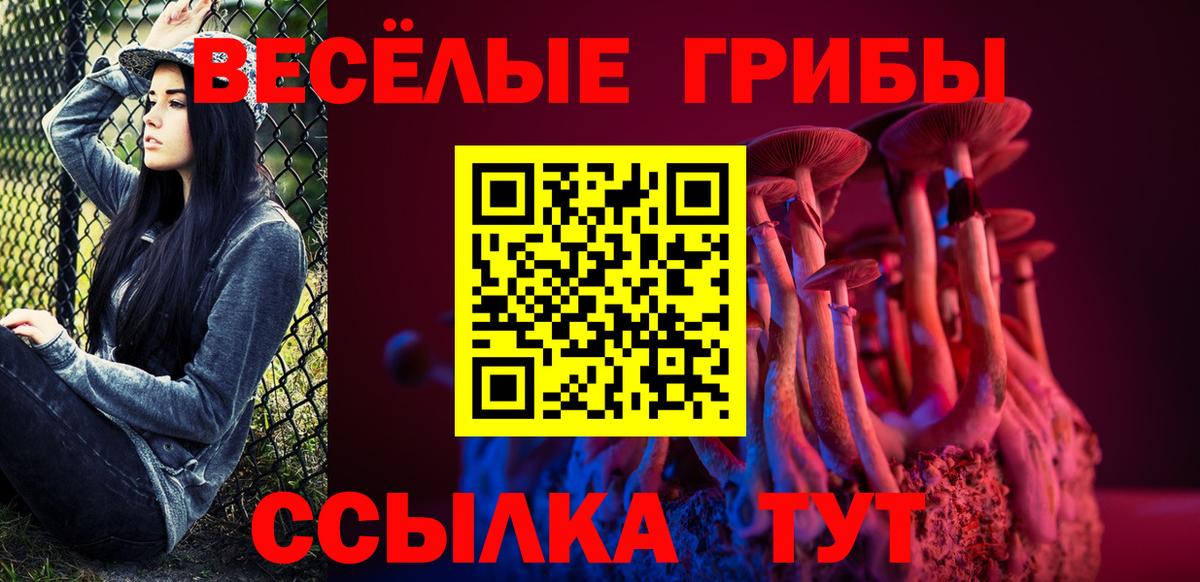 где можно купить наркотик  Псилоцибиновые грибы мухоморы  Вход с VPN  Рассказово 